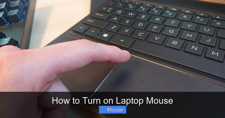 How to Turn on Laptop Mouse
