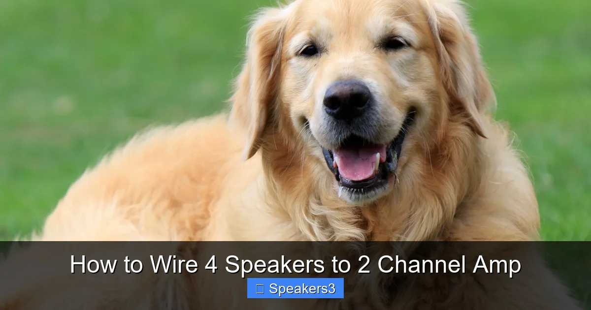 How to Wire 4 Speakers to 2 Channel Amp