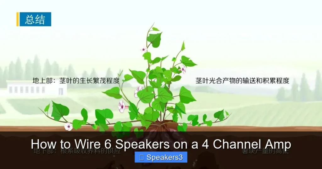How to Wire 6 Speakers on a 4 Channel Amp