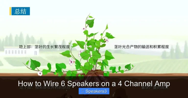 How to Wire 6 Speakers on a 4 Channel Amp