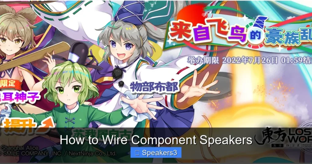 How to Wire Component Speakers