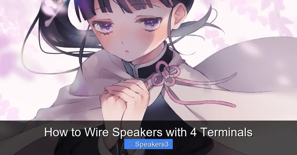 How to Wire Speakers with 4 Terminals