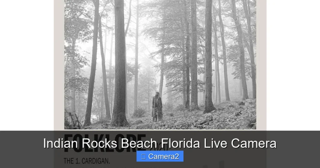 Indian Rocks Beach Florida Live Camera