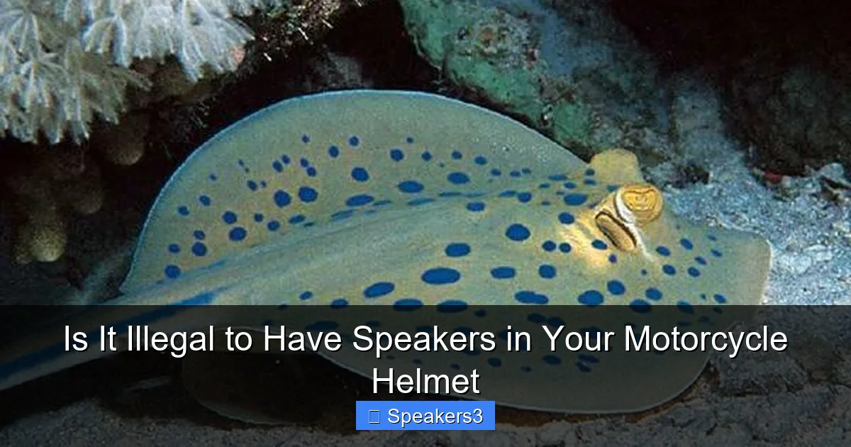 Is It Illegal to Have Speakers in Your Motorcycle Helmet