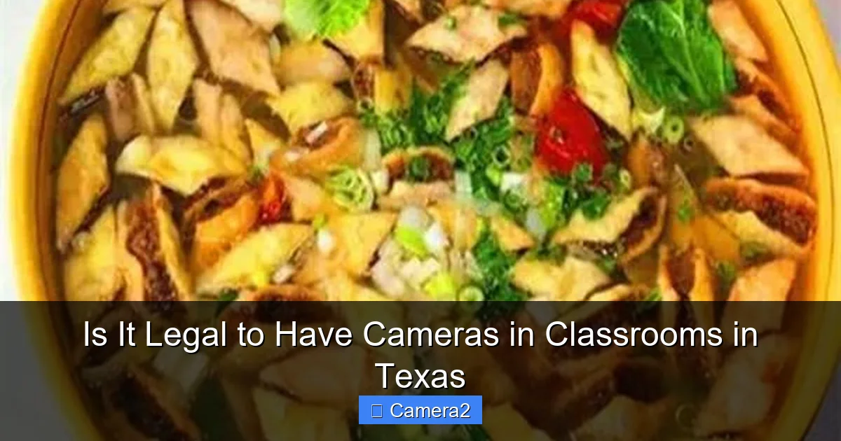 Is It Legal to Have Cameras in Classrooms in Texas
