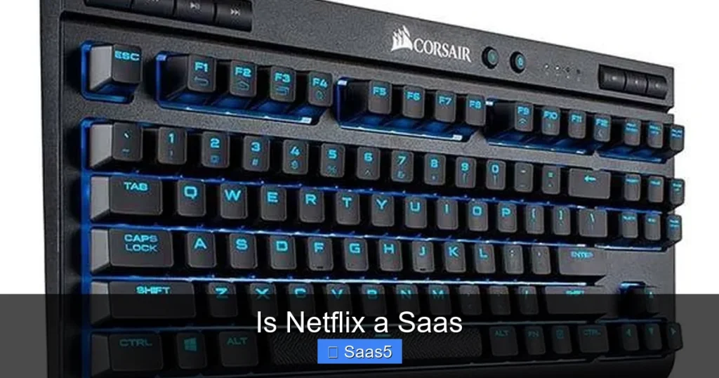 Is Netflix a Saas