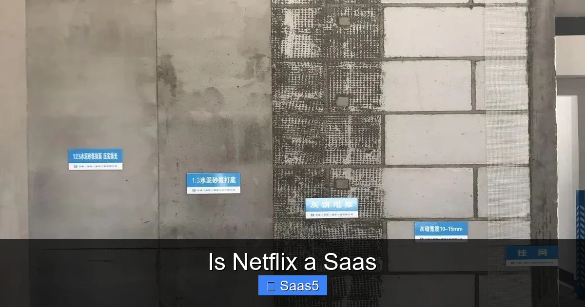 Is Netflix a Saas