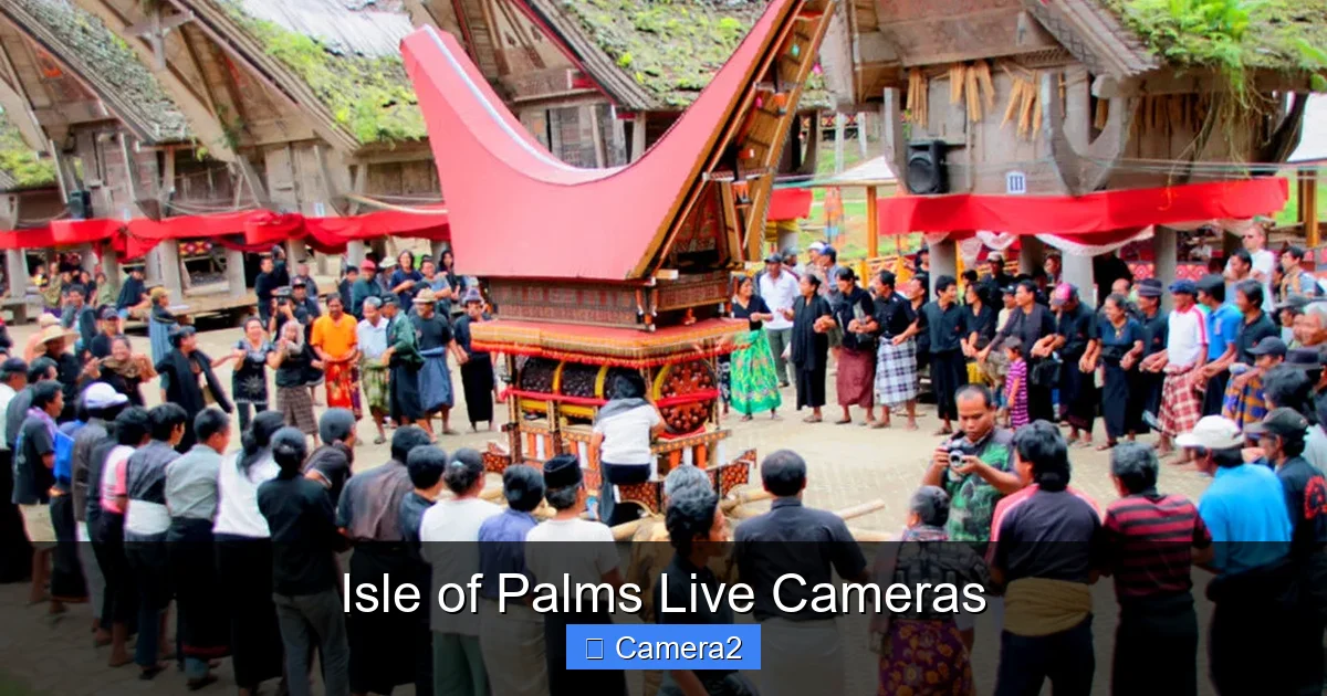 Isle of Palms Live Cameras
