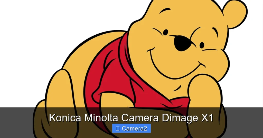 Konica Minolta Camera Dimage X1