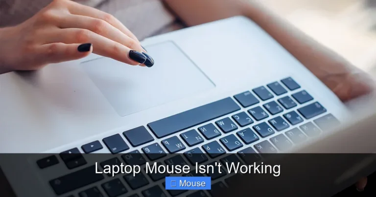Laptop Mouse Isn't Working