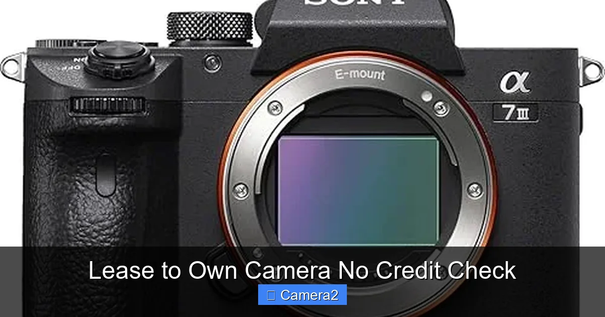 Lease to Own Camera No Credit Check