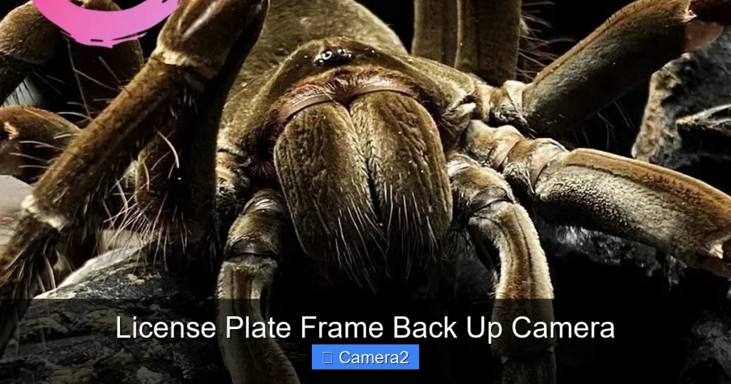 License Plate Frame Back Up Camera