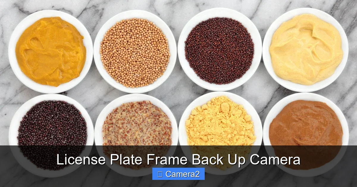 License Plate Frame Back Up Camera