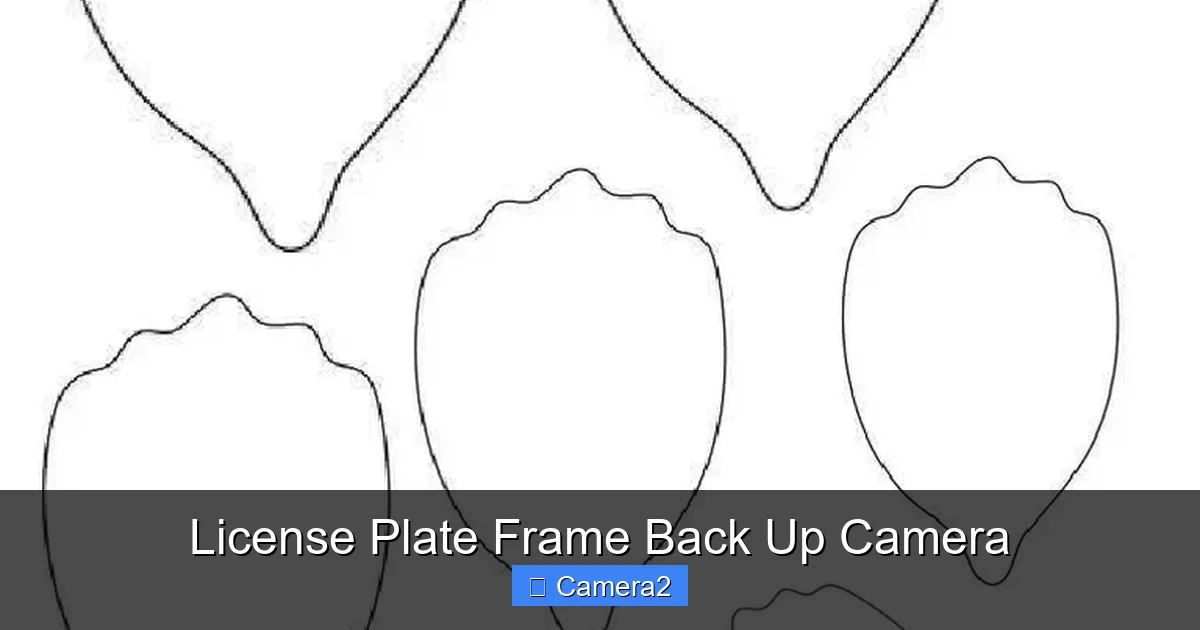 License Plate Frame Back Up Camera