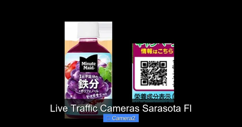 Live Traffic Cameras Sarasota Fl