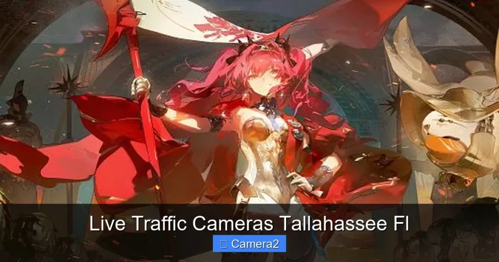 Live Traffic Cameras Tallahassee Fl