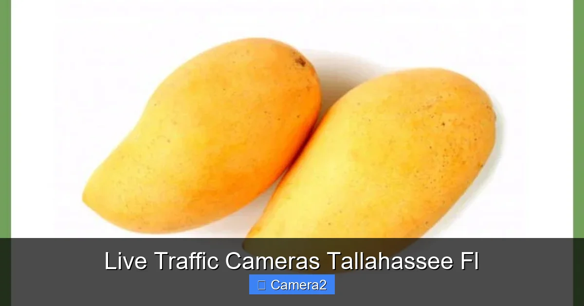 Live Traffic Cameras Tallahassee Fl