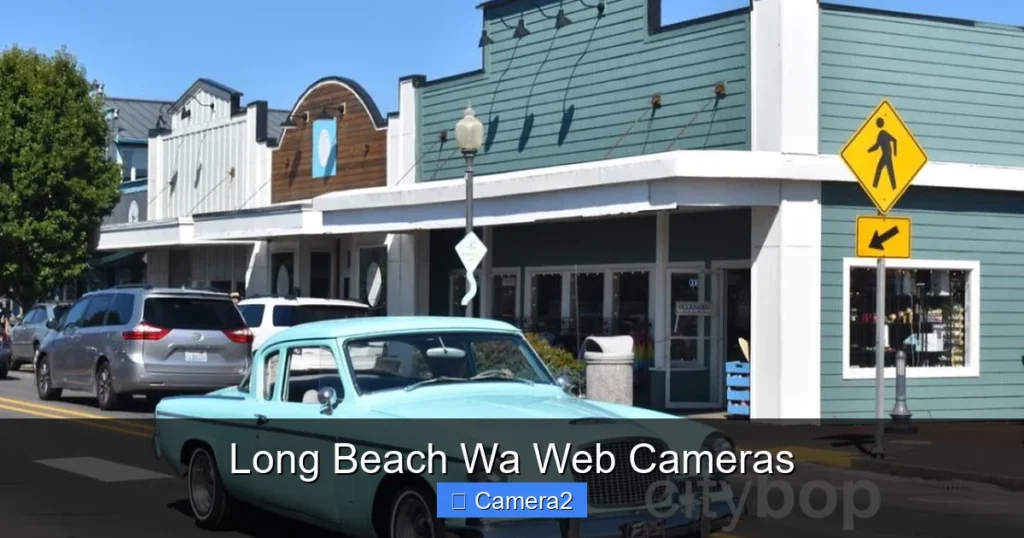 Long Beach Wa Web Cameras