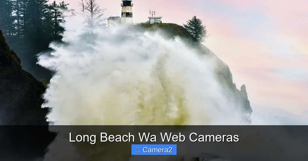 Long Beach Wa Web Cameras
