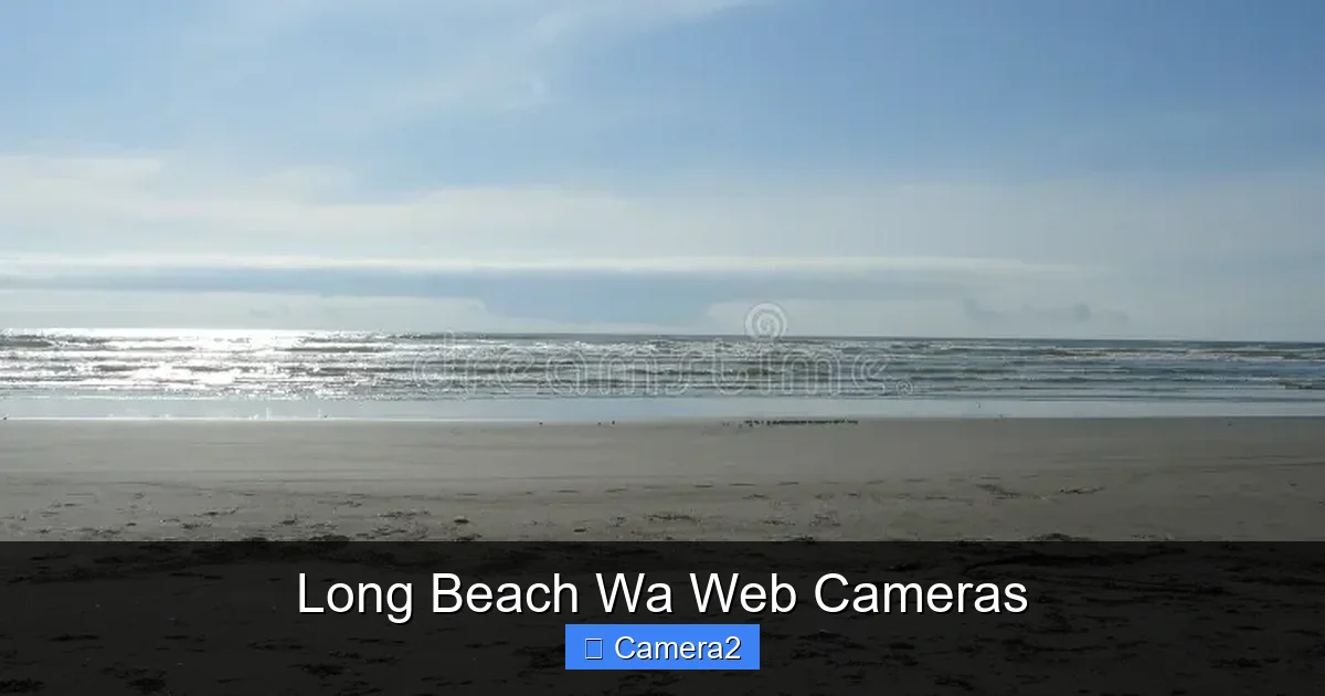 Long Beach Wa Web Cameras