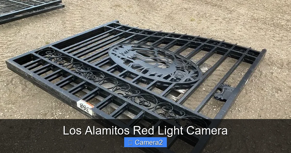 Los Alamitos Red Light Camera