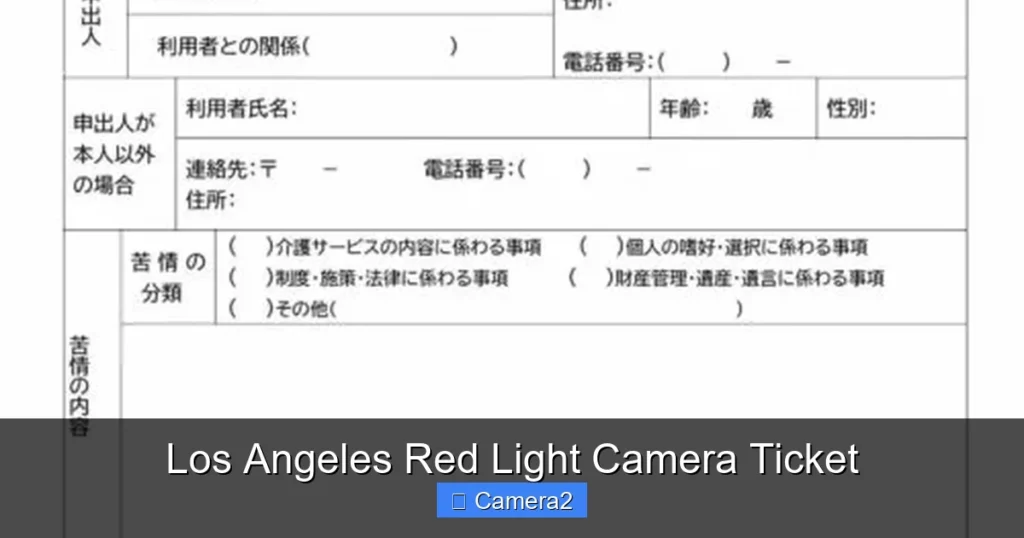 Los Angeles Red Light Camera Ticket