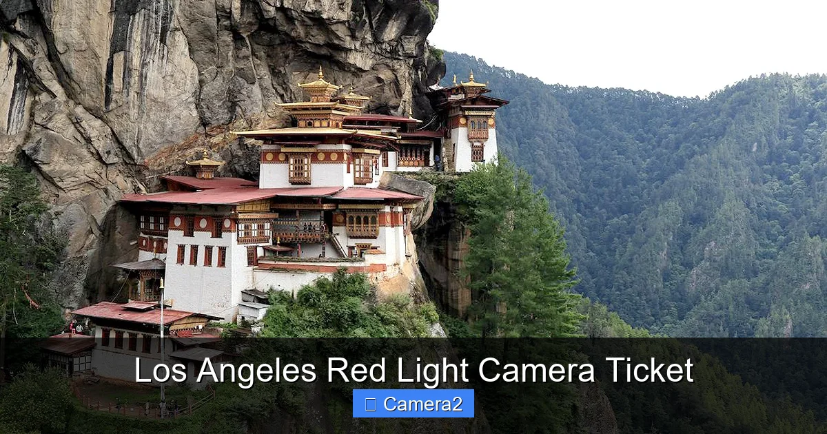 Los Angeles Red Light Camera Ticket
