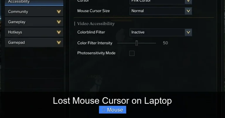 Lost Mouse Cursor on Laptop