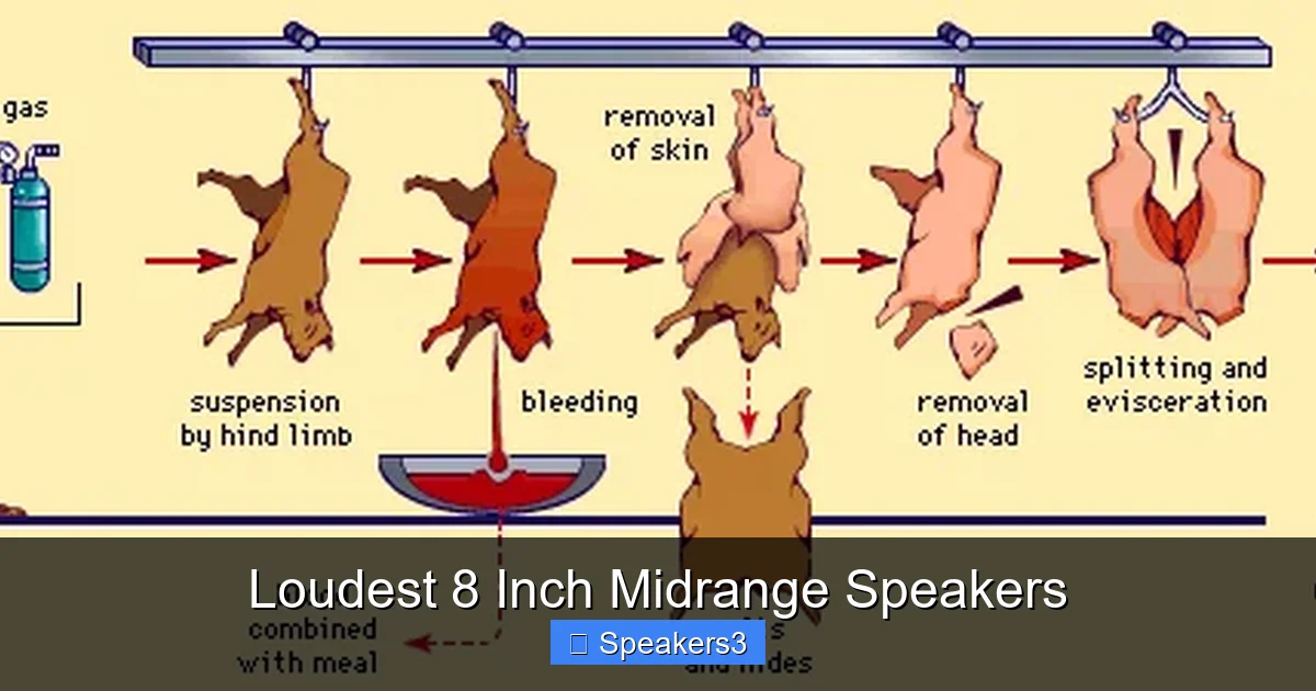 Loudest 8 Inch Midrange Speakers