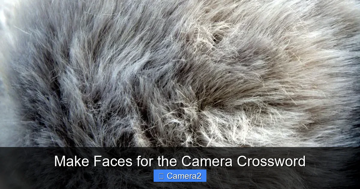 Make Faces for the Camera Crossword