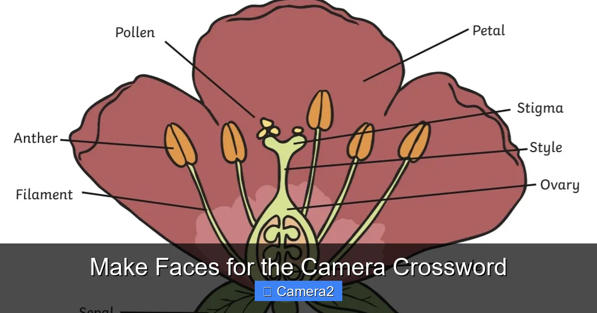 Make Faces for the Camera Crossword