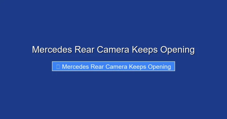 Mercedes Rear Camera Keeps Opening