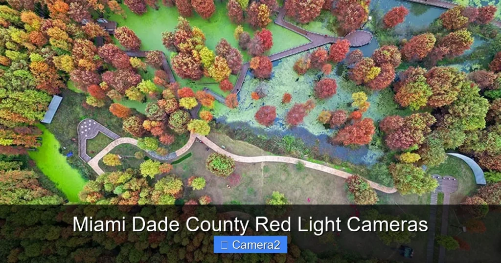 Miami Dade County Red Light Cameras