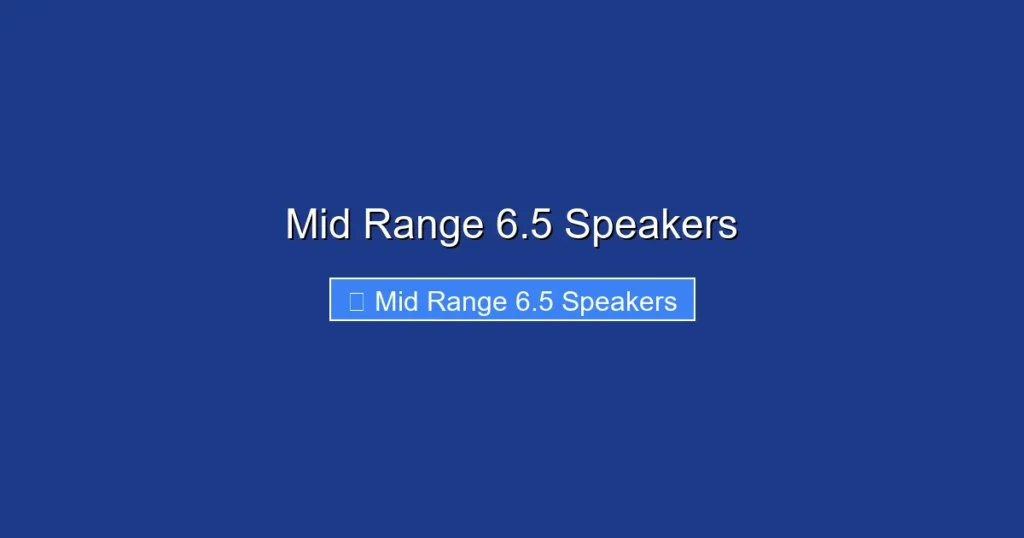 Mid Range 6.5 Speakers