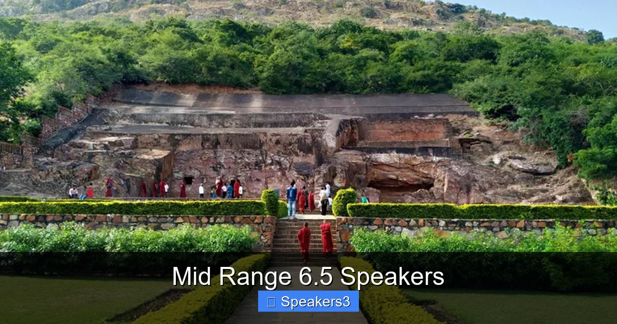 Mid Range 6.5 Speakers