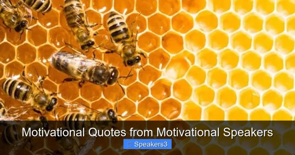 Motivational Quotes from Motivational Speakers