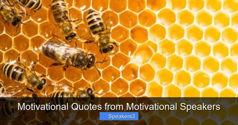 Motivational Quotes from Motivational Speakers