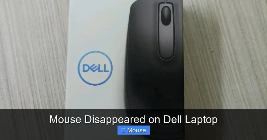Mouse Disappeared on Dell Laptop