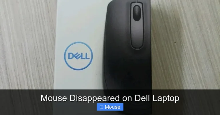 Mouse Disappeared on Dell Laptop