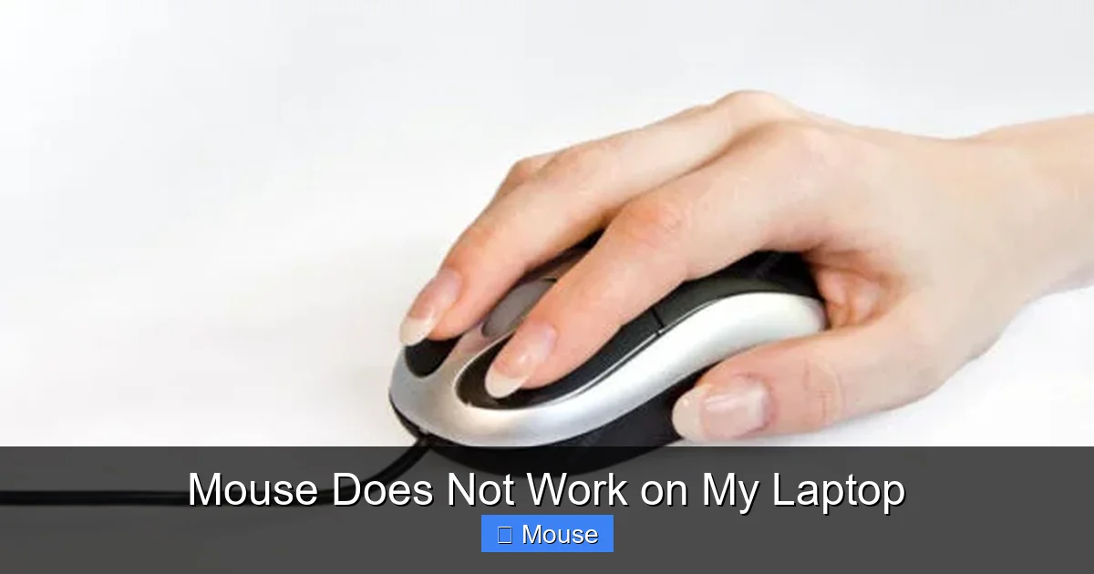 Mouse Does Not Work on My Laptop