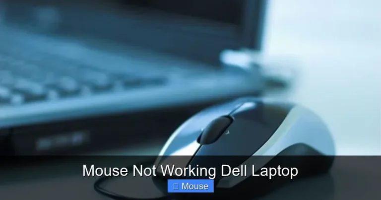 Mouse Not Working Dell Laptop