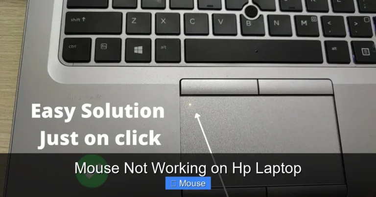 Mouse Not Working on Hp Laptop