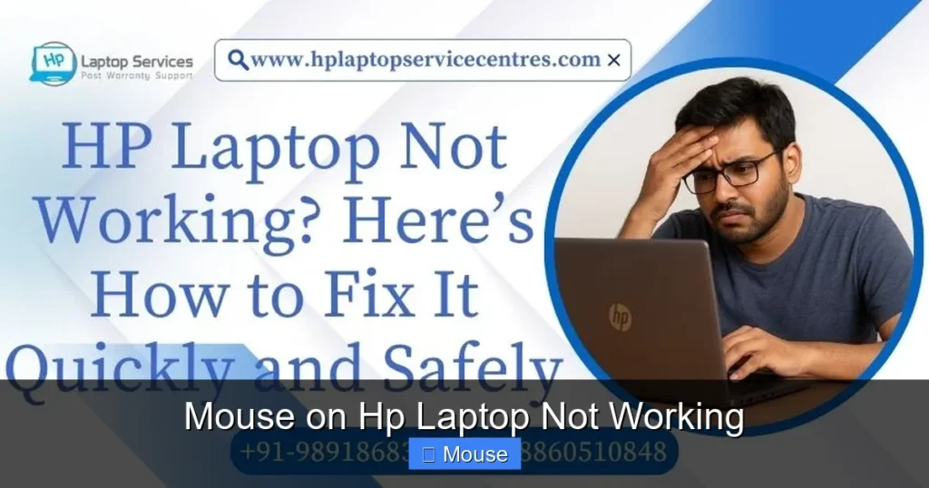 Mouse on Hp Laptop Not Working