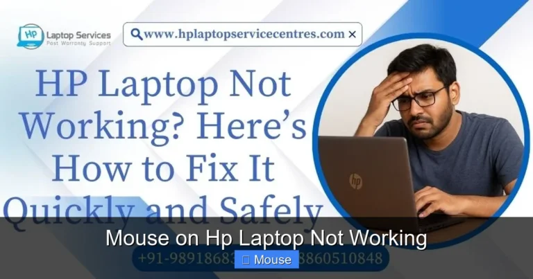 Mouse on Hp Laptop Not Working