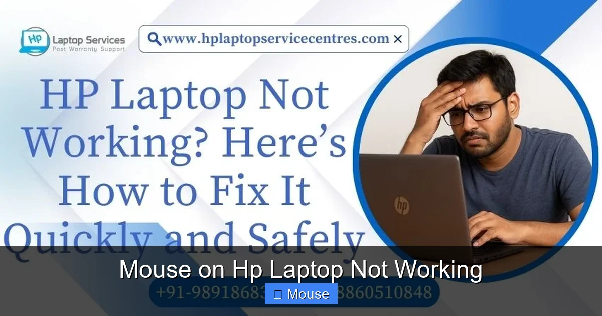 Mouse on Hp Laptop Not Working