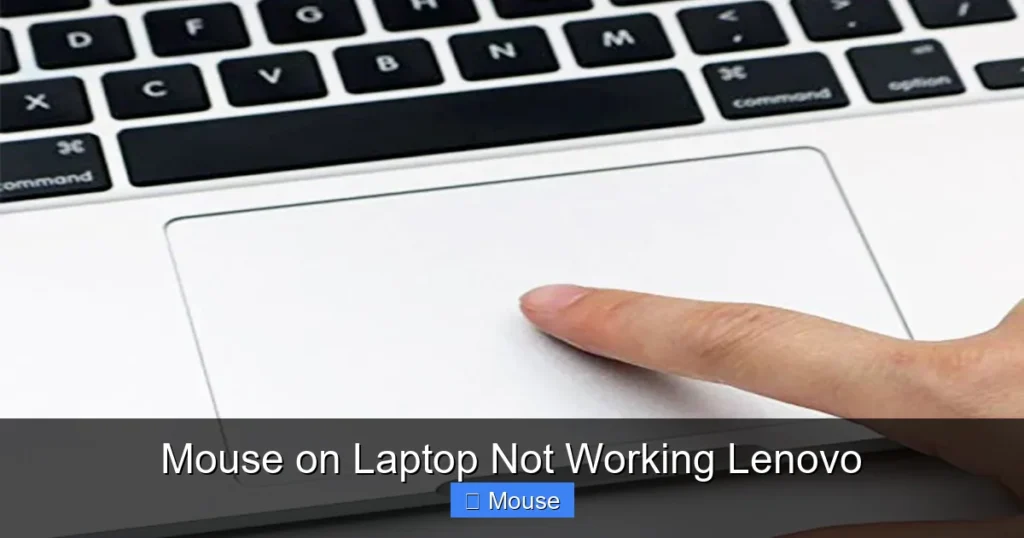 Mouse on Laptop Not Working Lenovo