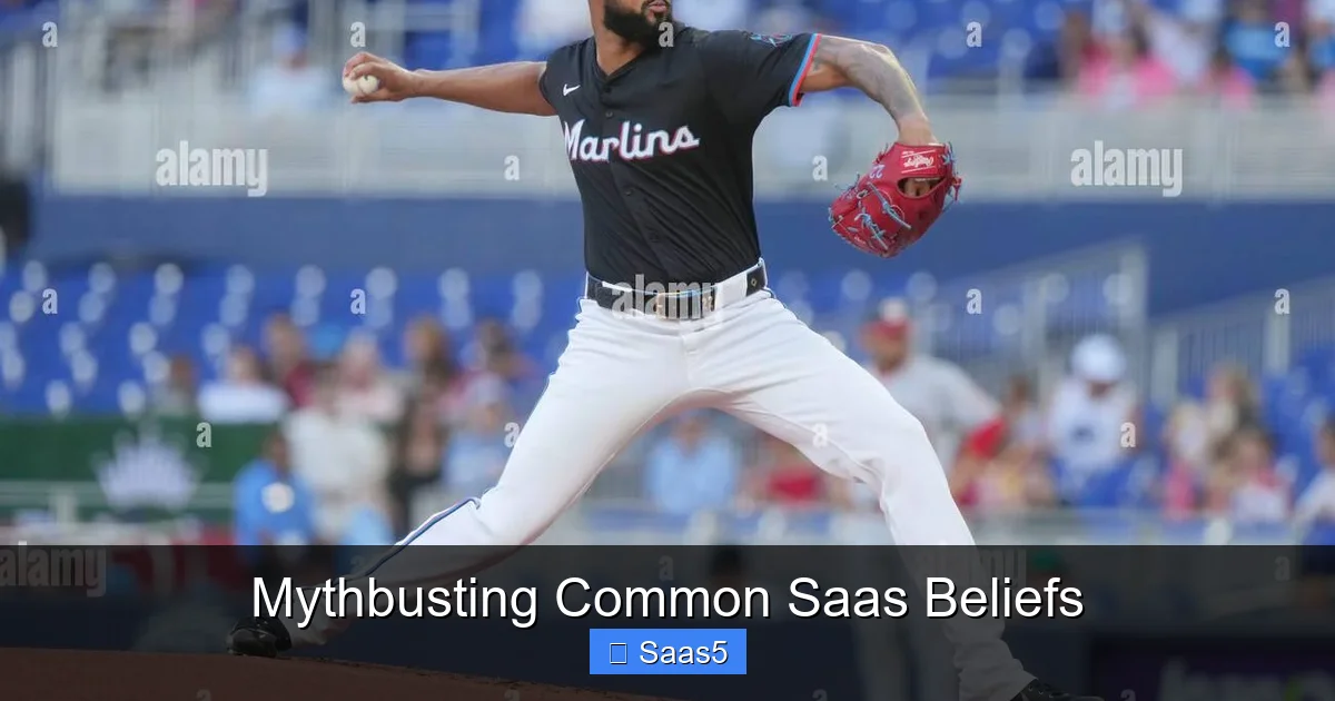 Mythbusting Common Saas Beliefs