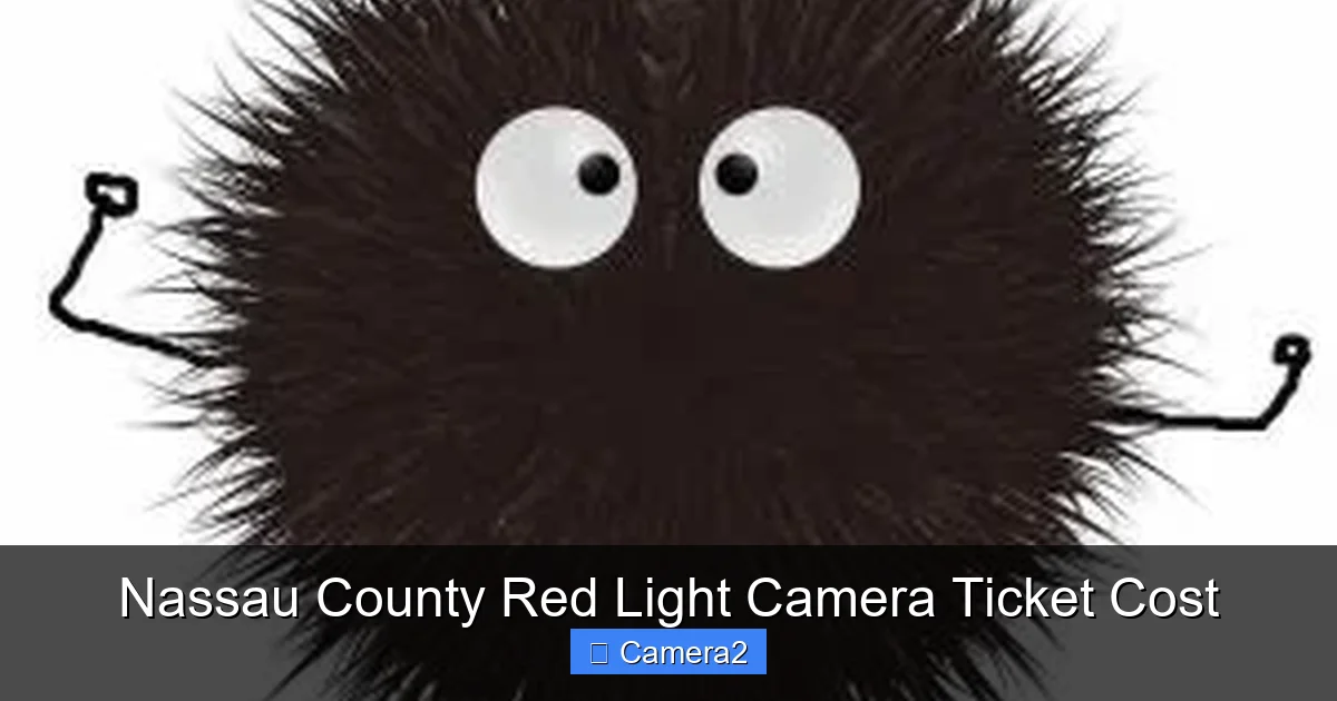 Nassau County Red Light Camera Ticket Cost