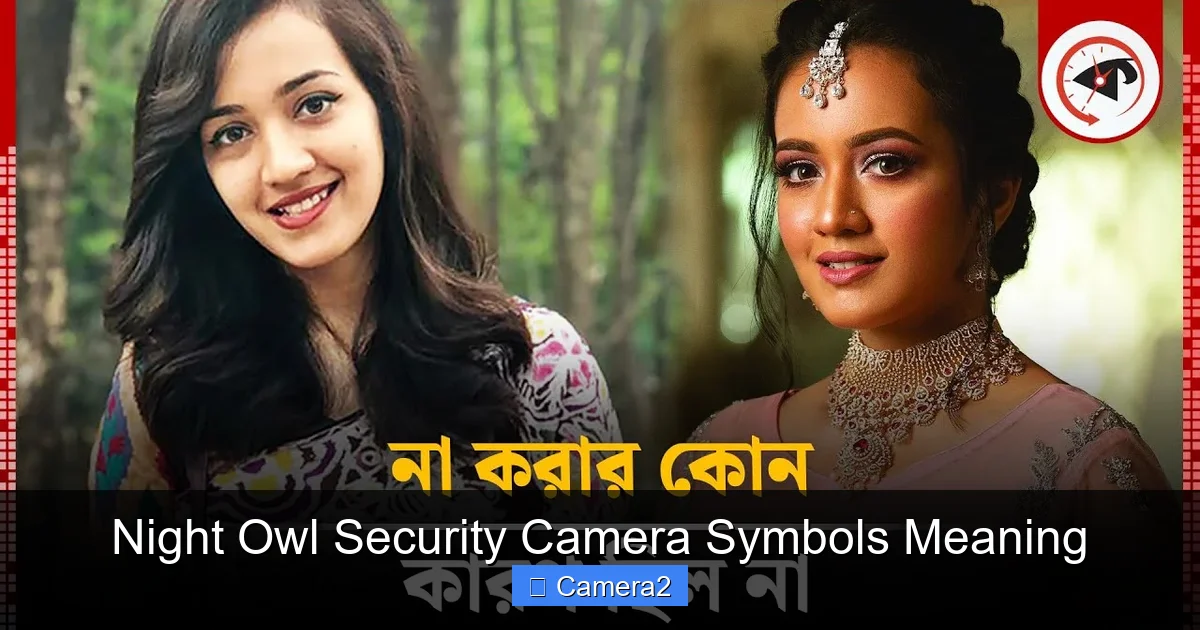 Night Owl Security Camera Symbols Meaning