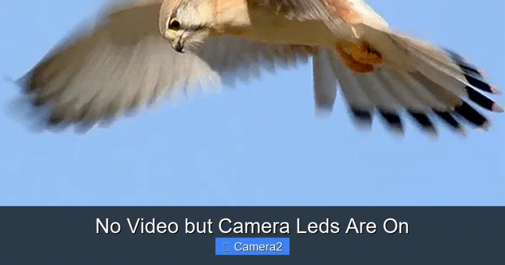 No Video but Camera Leds Are On